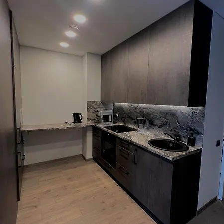 J.kairiukscio Apartamentai * ヴィリニュス